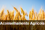 Aconselhamento Agrícola