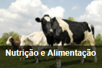 Nutrição e Alimentação