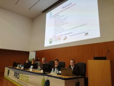 74708896_3189513257787466_3393948732859875328_o